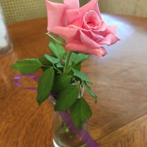 Meet your Posher, Rose